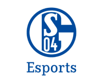Shalke 04 Esport team - achieveminds